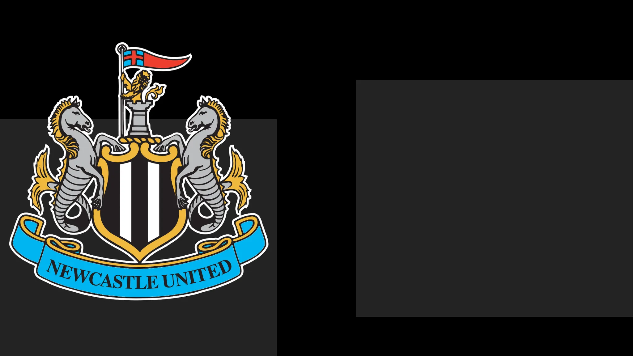 Newcastle Issue Apology to Fans Amid Season Ticket Controversy
