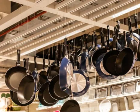Non-Stick Eating, Garlic Milk and Zebra Cows Triumph at 2025 Alternative Science Awards